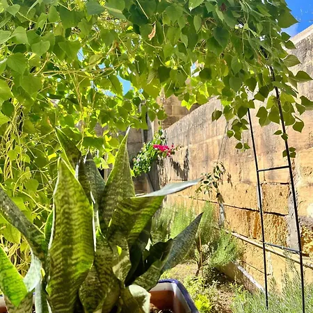 Encanto Getaways - Within Our Family Daire